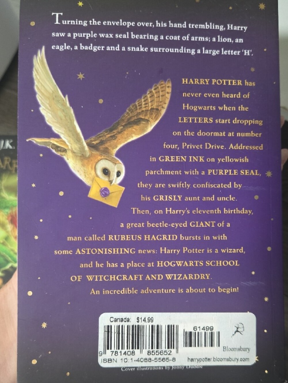 Harry Potter - Picture 2 of 3